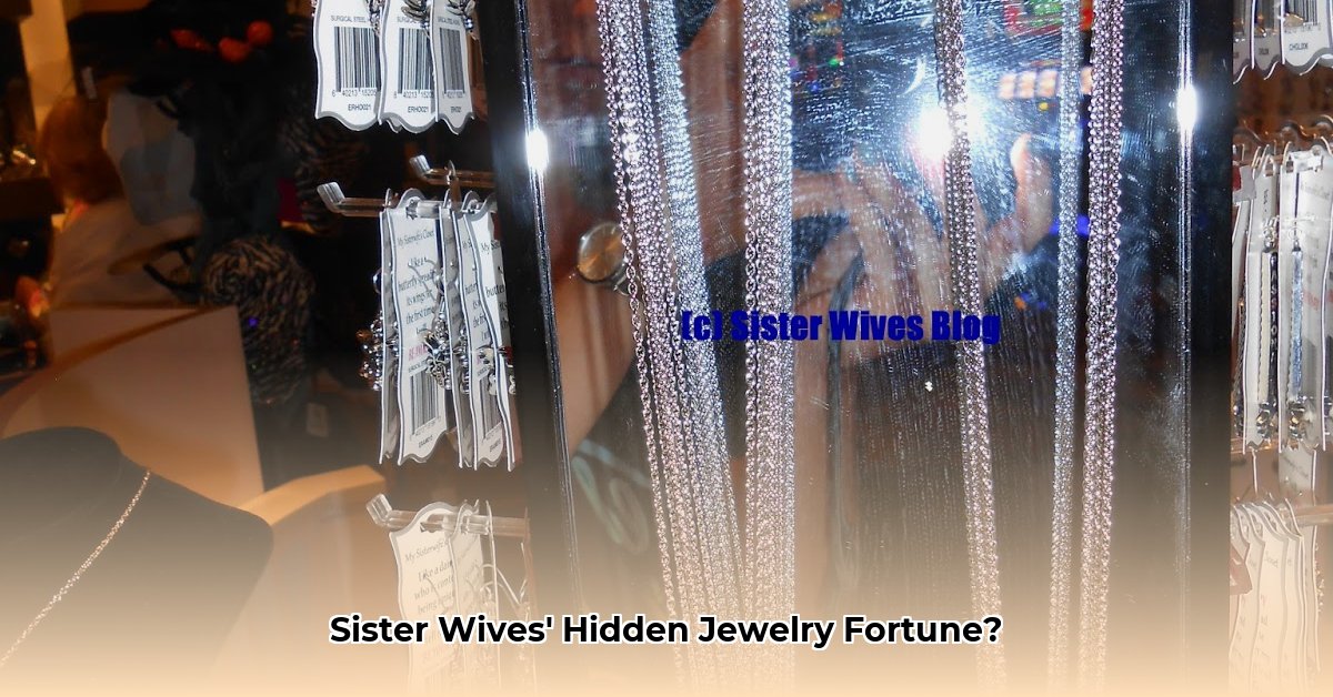 my-sisterwife-s-closet-jewellery-net-worth
